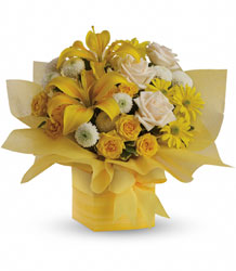 Sunshine Surprise Present Davenport Florist - Same Day Flower Delivery - Flower Power 